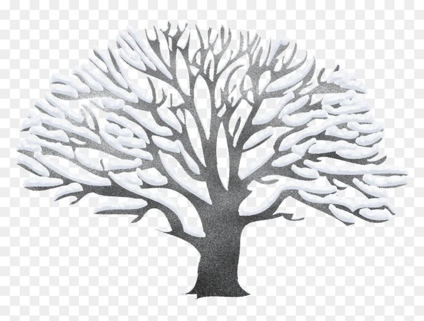 Winter tree Royalty Free Vector Image - VectorStock