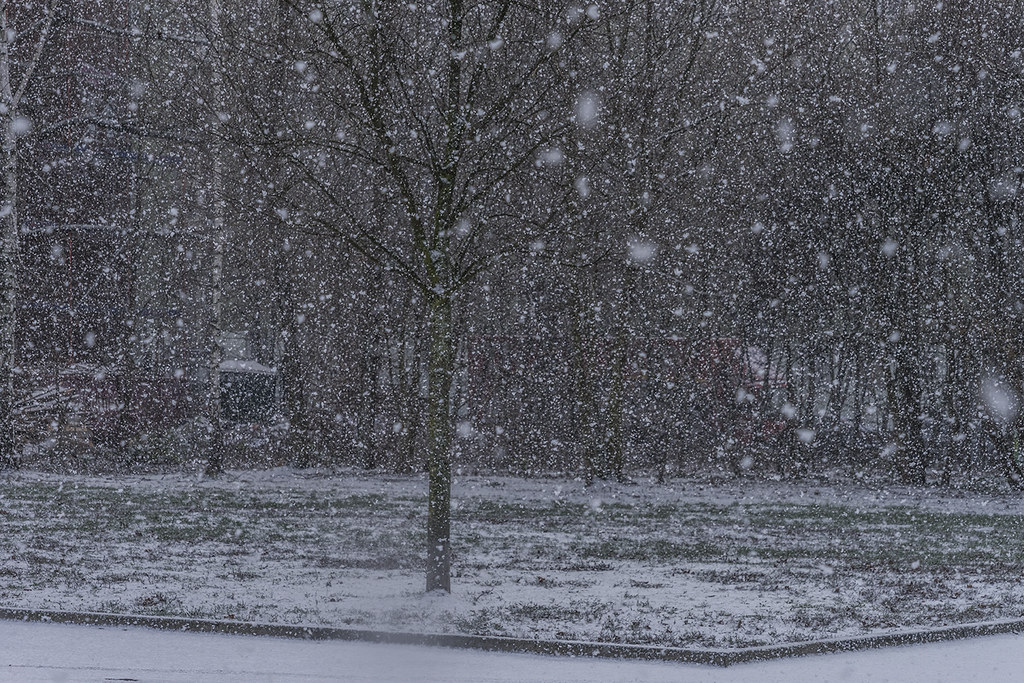 Free Snow Shower Cliparts, Download Free Snow Shower Cliparts png