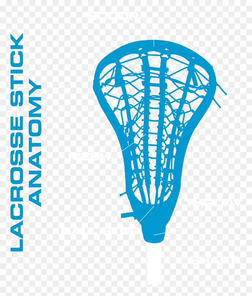 Blue vector illustration of a lacrosse stick head with labeled parts: scoop, mesh, throat, ball stop, and shaft.