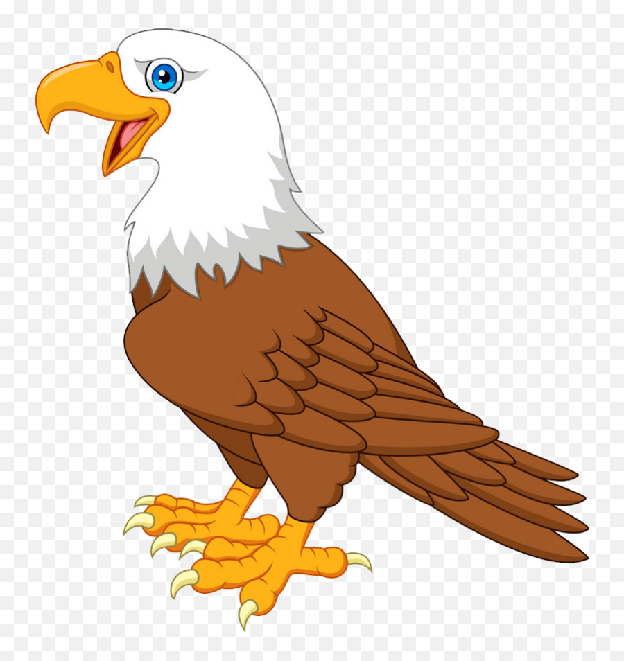 Cartoon Eagle - Stunning Eagle Images for Everyone