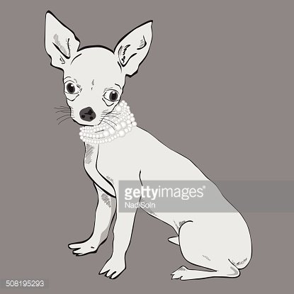 Elegant white Chihuahua wearing a pearl necklace, sitting upright with large expressive eyes and perked ears.