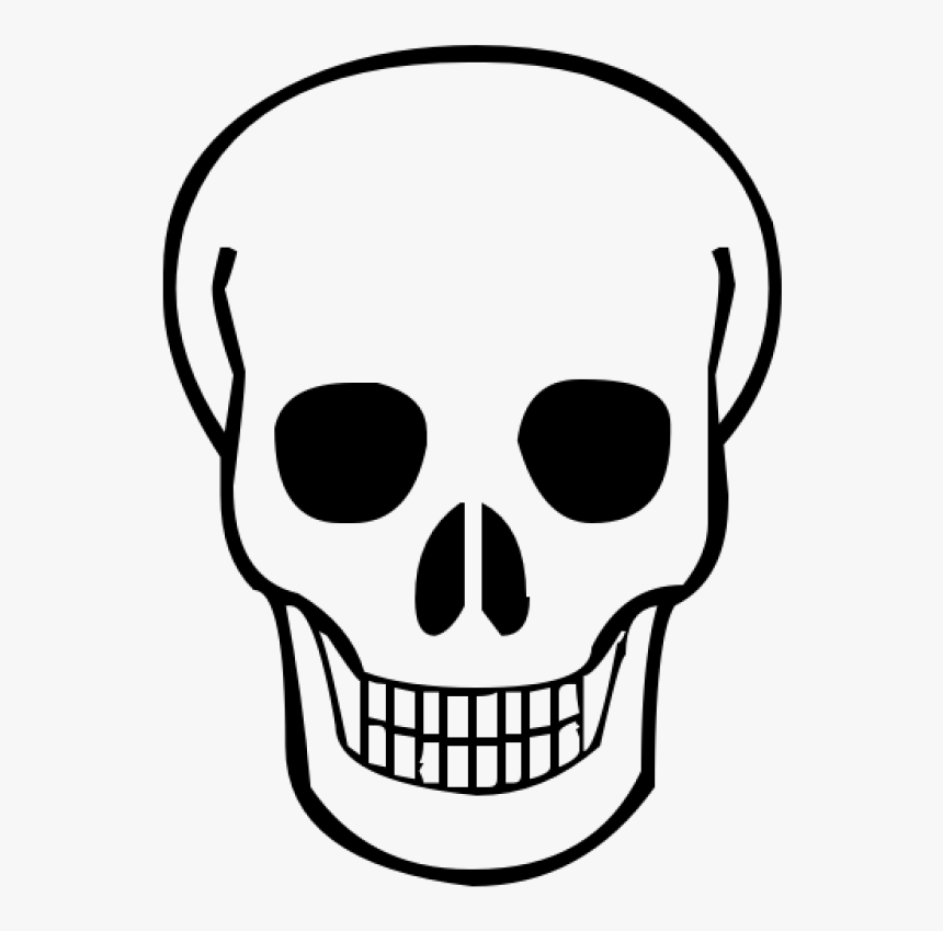 Human Skeleton Animation Art Bone - Skeleton Clip Art PNG Image - Clip ...