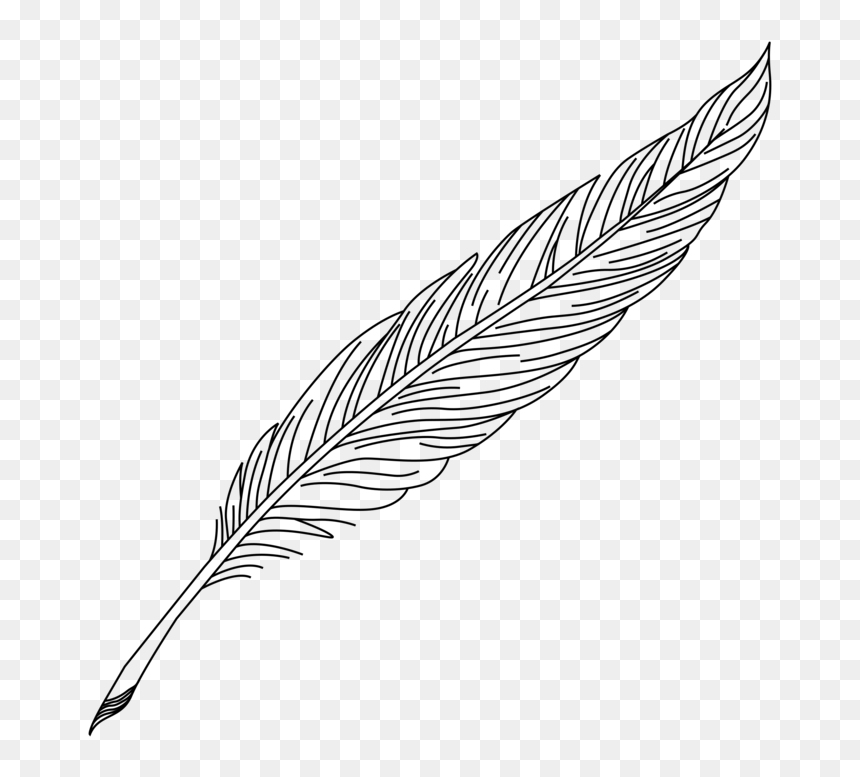 white feather PNG transparent image download, size: 6400x8000px