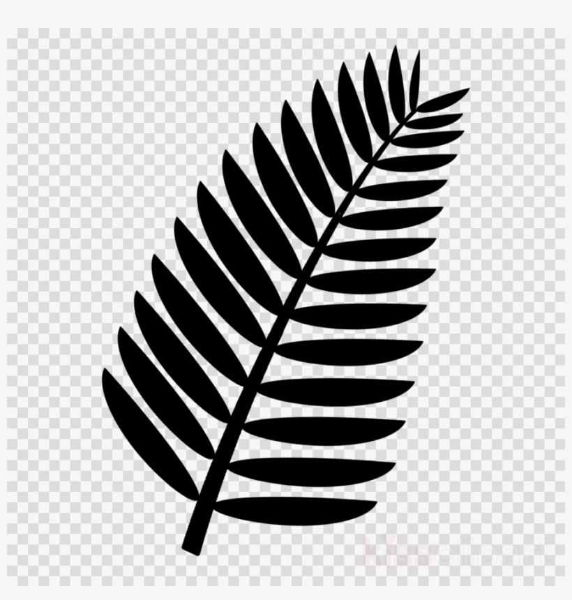 Black silhouette of a feather-like compound leaf with symmetrical leaflets on a transparent background.