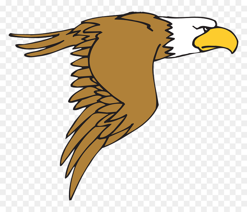 Bald Eagle Clip Art - Free Transparent PNG for Education & Design