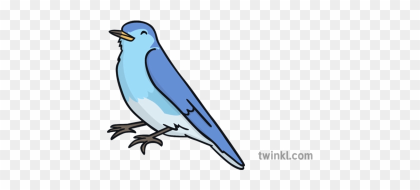 A cartoon-style blue bird with light blue chest, dark blue wings, and a yellow beak, perched with closed eyes.
