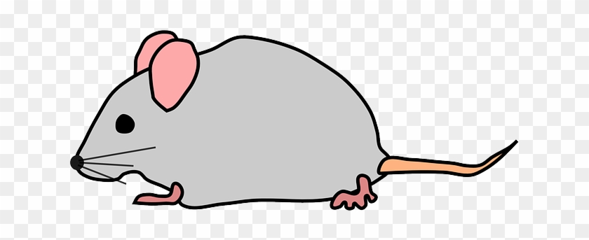 Cartoon Mouse Illustration - Free PNG Clipart for Education & Design