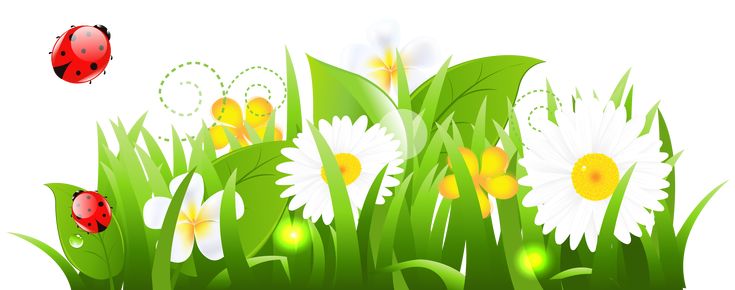 Vibrant spring meadow with daisies, plumeria, green grass, and two red ladybugs flying and resting among blossoms.