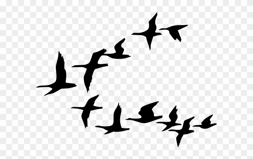 Bird Silhouette Clipart - Free Download for Design & Web Use