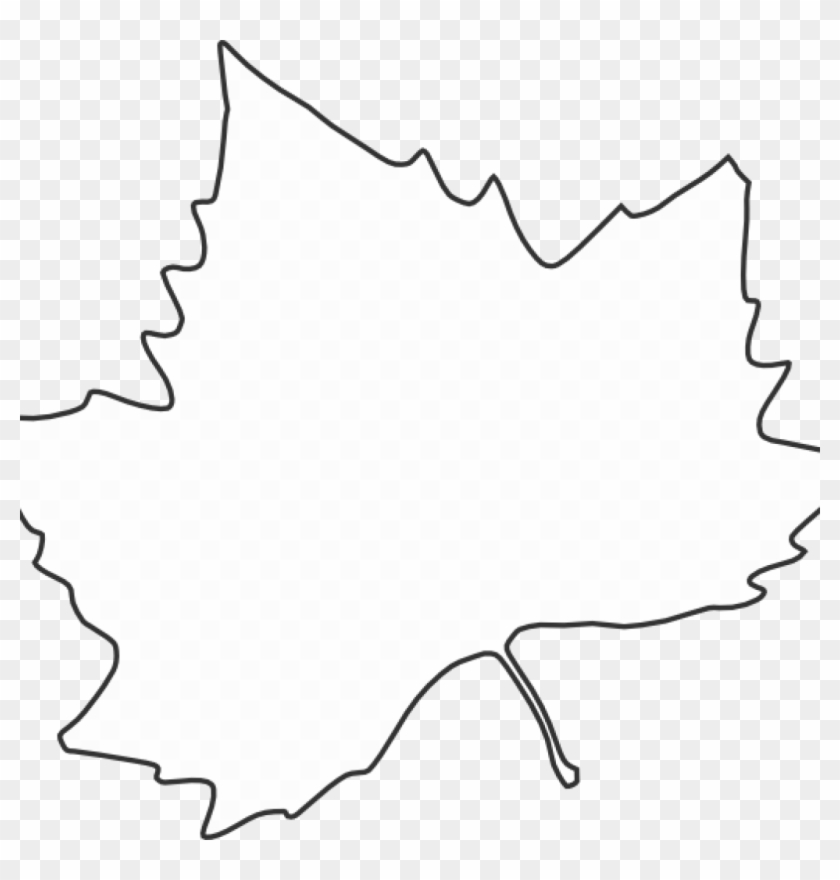 Leaf Outline Images Maple Leaf Outline Clip Art At Leaf Clipart