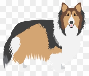 Sheltie, Shetland sheepdog clipart. Different poses, coat colors - Clip ...