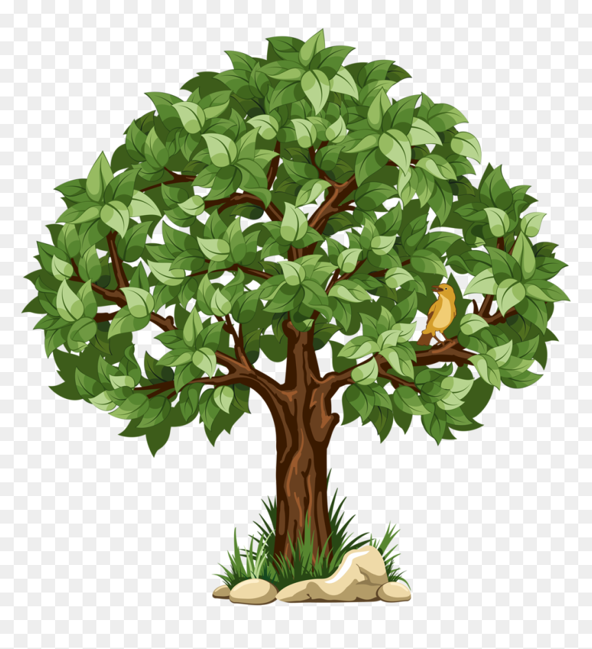 Shrub Tree Drawing Green Bush Transparent Background Png Clipart Clip Art Library