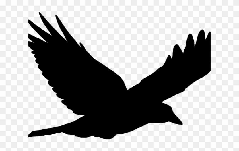 Silhouette of a crow in flight with wings spread wide against a transparent background.
