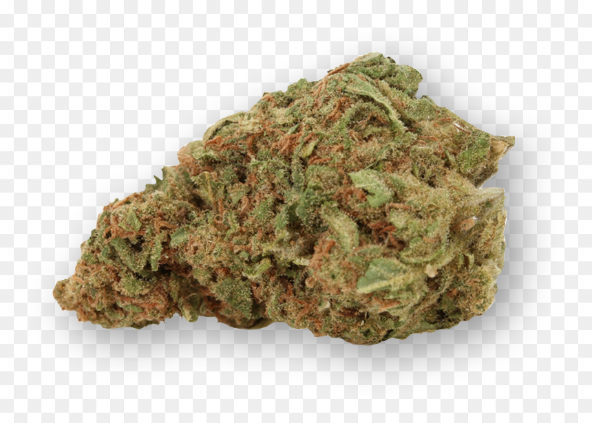 A dense, frosty cannabis bud with vibrant green leaves and orange pistils against a transparent background.