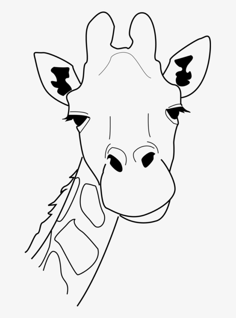 Line drawing of a giraffe’s head and neck with ossicones, expressive eyes, and patterned spots.