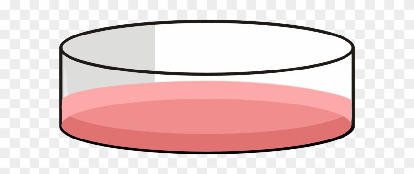 Petri Dish with Culture Medium - Lab Equipment Illustration