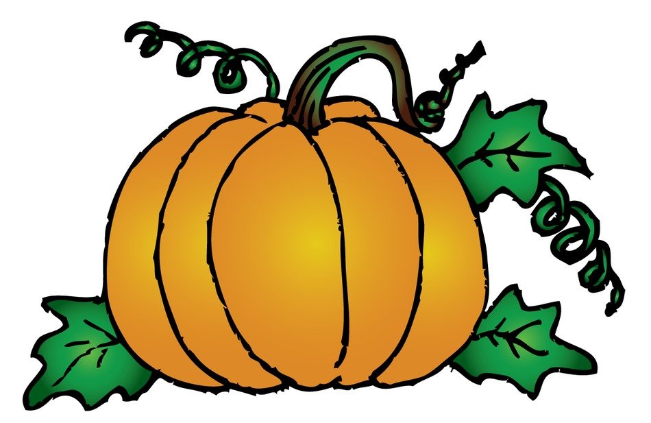 Bright orange pumpkin with green stem, leaves, and curly vines on white background.