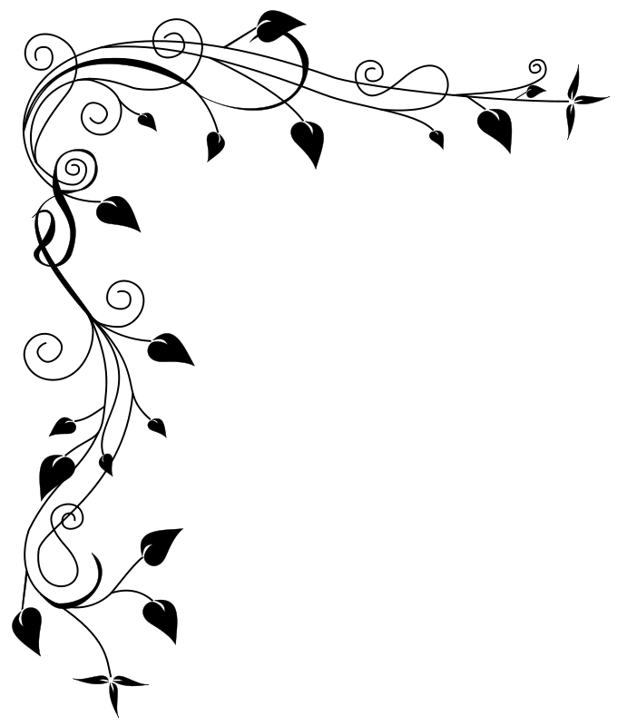 Blank Image Placeholder - Default Visual Asset