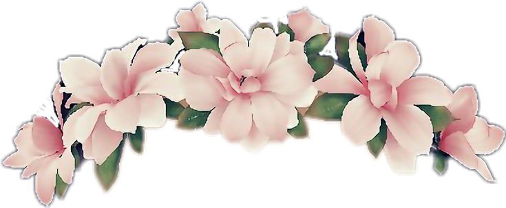 Delicate pink floral wreath with soft petals and green leaves, ideal for decorative or celebratory designs.