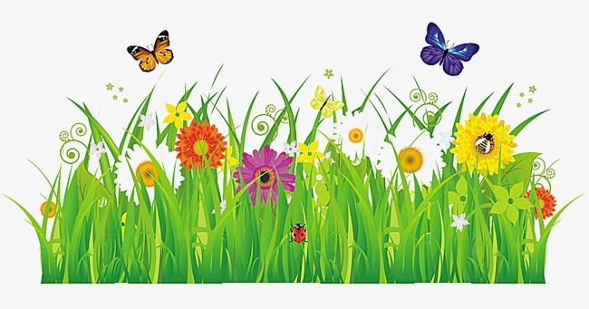 Spring Meadow Illustration - Colorful Flowers, Butterflies & Insects