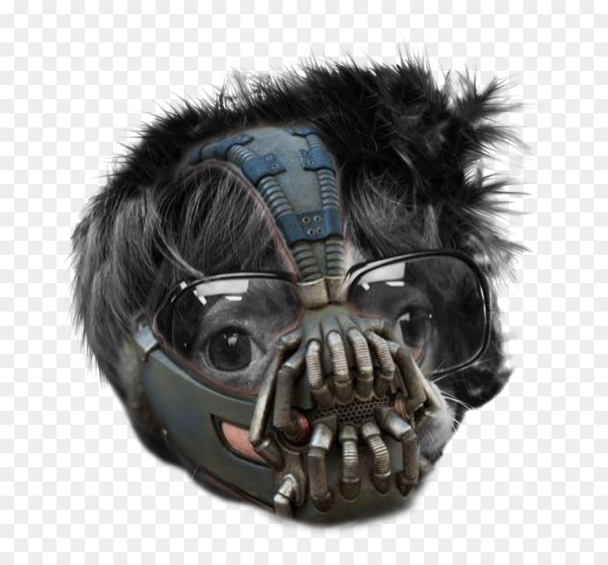 Bane Faces Clip Art Library