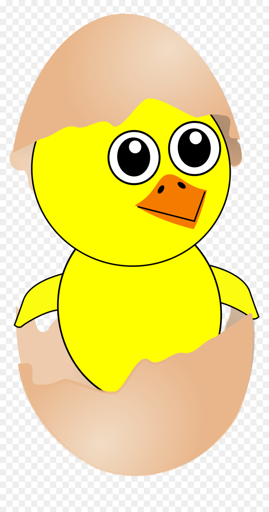 baby chickens - Clip Art Library