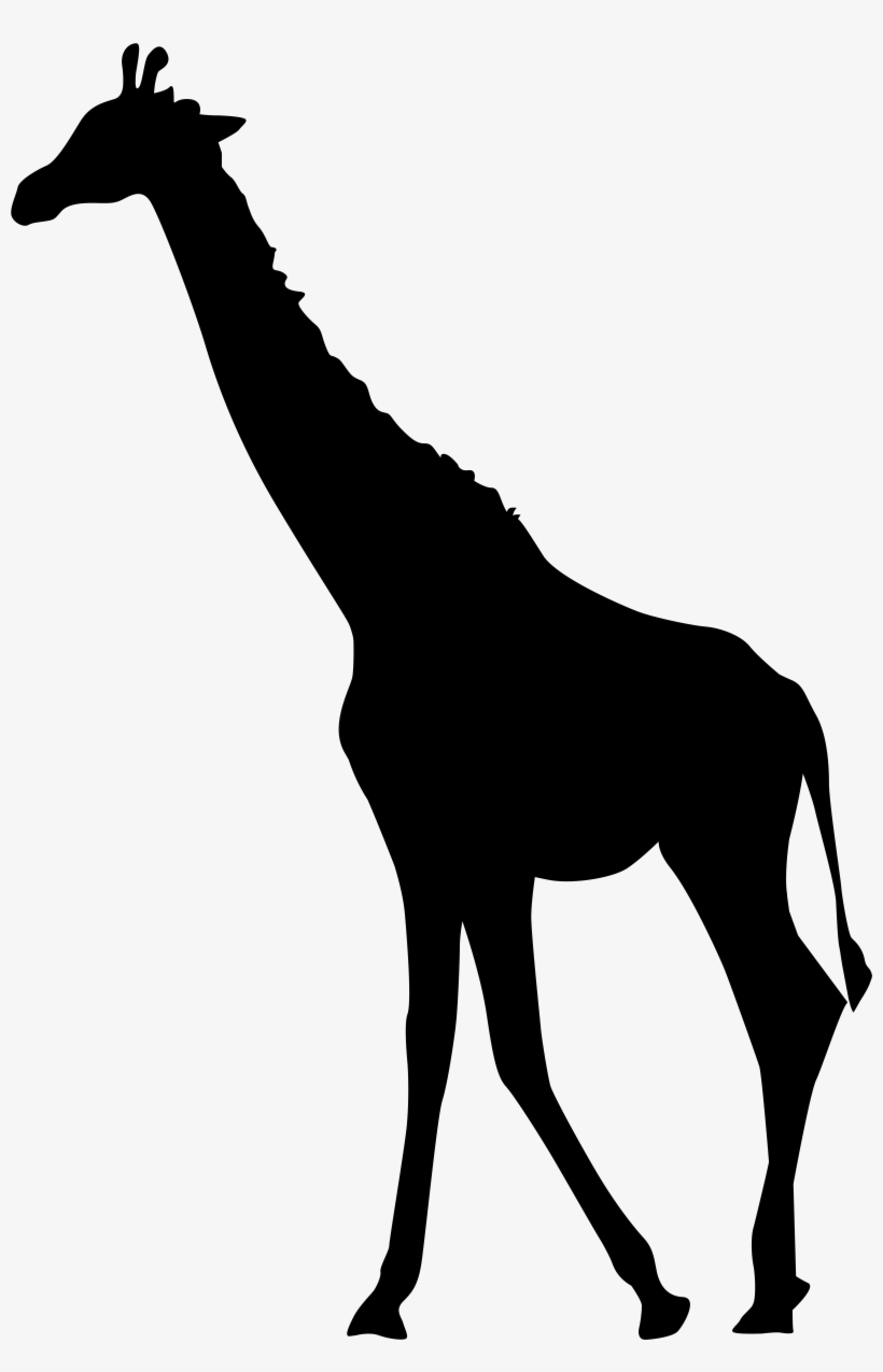 Black silhouette of a standing giraffe in profile, showing long neck, ossicones, and slender legs against a white background.