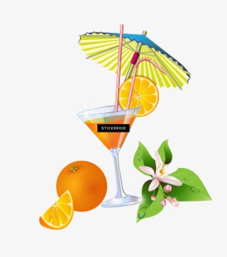 Refreshing Orange Cocktail with Citrus Garnish - Recipe & Inspiration