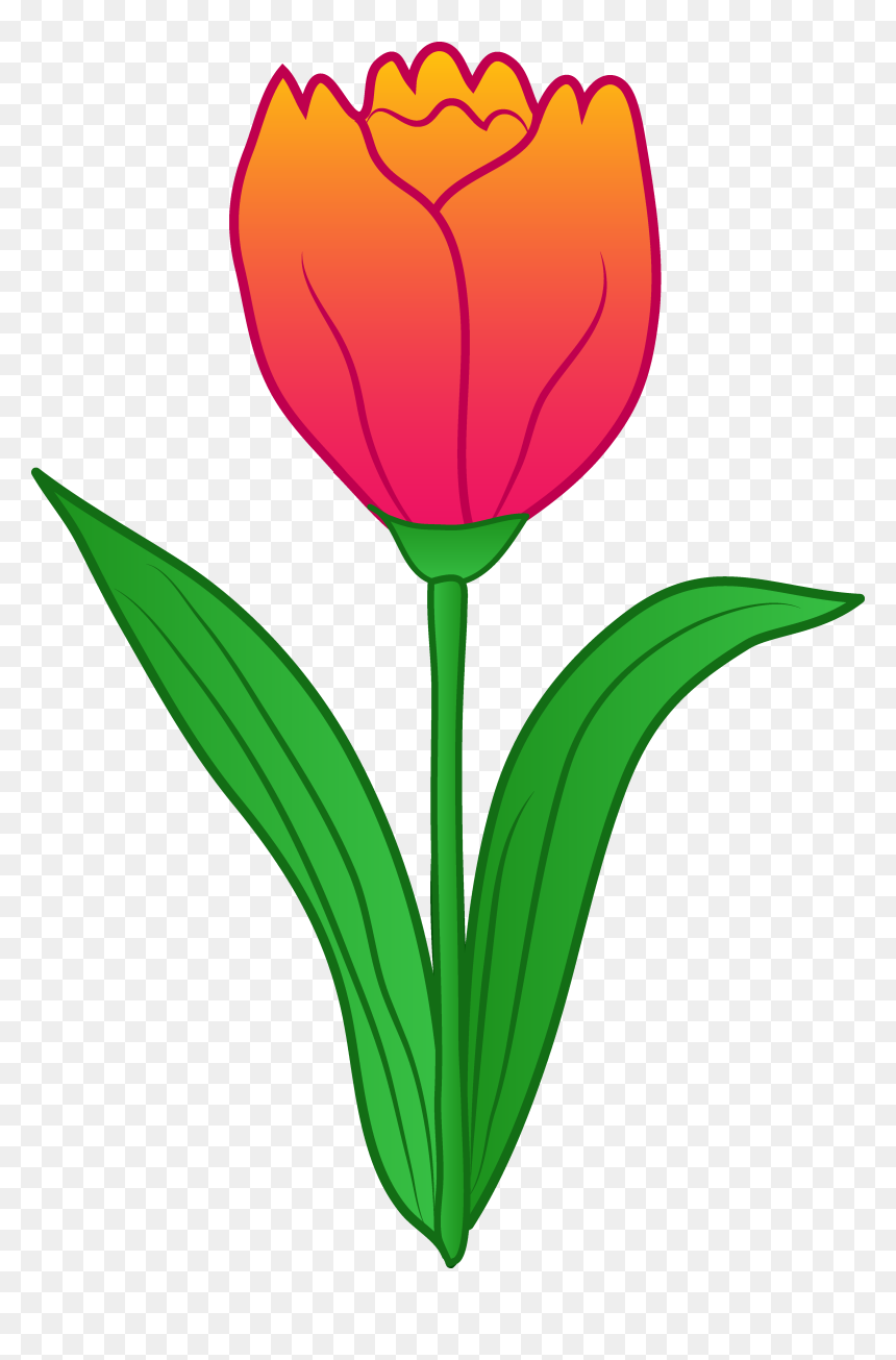 Cartoon Flower With Stem Clipart , Png Download - Flowers Drawing With Stem,  Transparent Png , Transparent Png Image - …