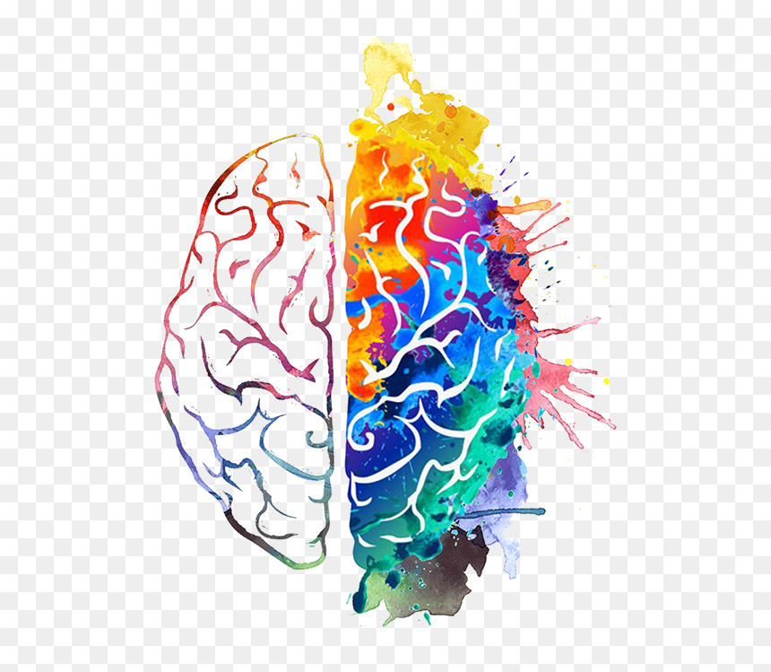 Split-brain illustration showing left hemisphere in outline and right in vibrant watercolor splashes, symbolizing logic vs creativity.