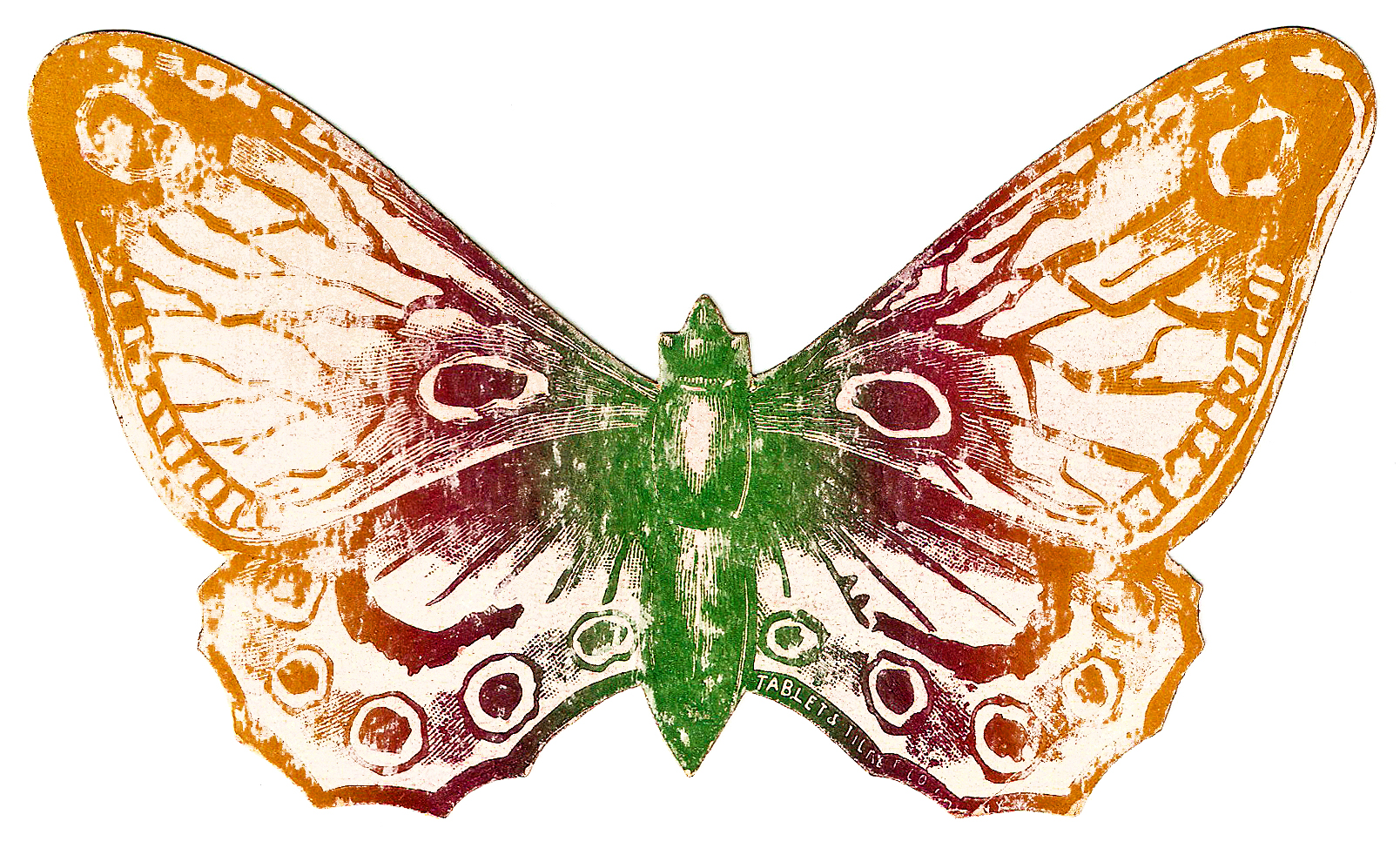 Vintage-style illustrated moth with orange, maroon, and green wings featuring eye spots and intricate line work.
