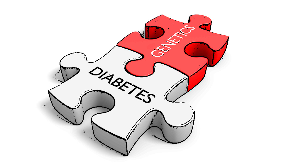 Two interlocking puzzle pieces labeled "DIABETES" and "GENETICS", symbolizing their connection in disease understanding.