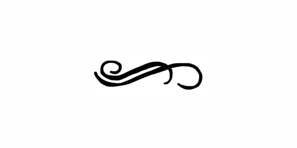 Black ornamental flourish or swash design on white background, used as a decorative divider or typographic embellishment.
