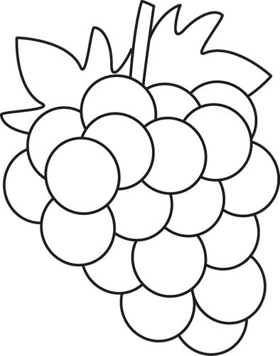 Black-and-white line drawing of a grape cluster with leaves and stem, suitable for coloring or educational use.