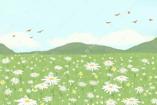Peaceful Daisy Meadow Landscape - Free Nature Illustration