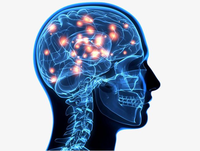 Human brain scan showing neural activity with glowing orange nodes inside a translucent blue skull and spine.