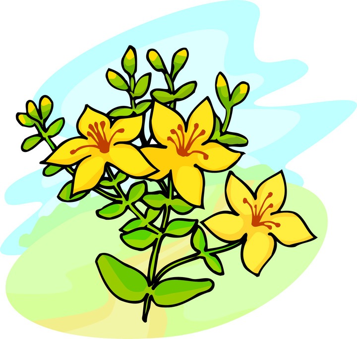 Bright yellow flowers with green leaves and stems, illustrated in a cheerful cartoon style against soft blue and green background.