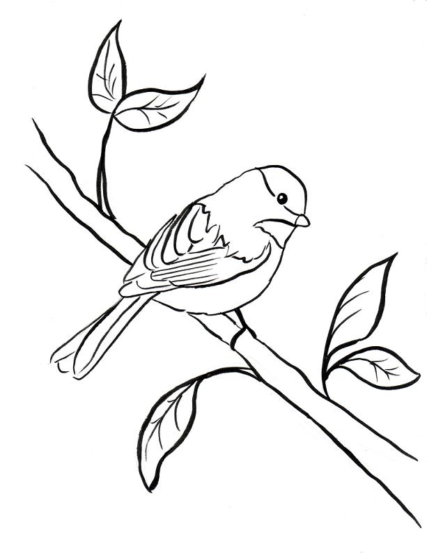 Black-and-white line drawing of a small bird perched on a leafy branch, facing right with detailed feather patterns.