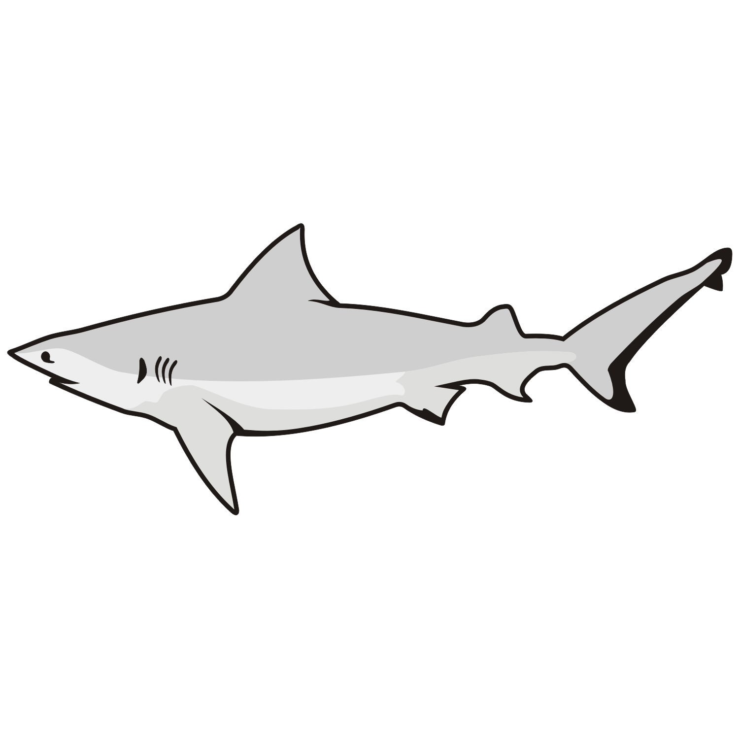 Free Great White Shark Clipart Download Free Great White Shark Clip Art Library