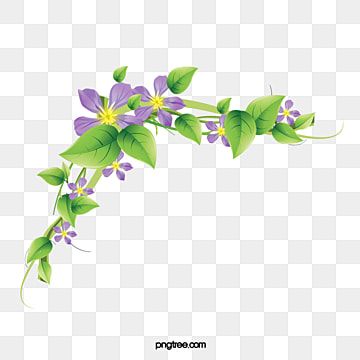 Purple flowering vine with green leaves forming a decorative corner border on transparent background.