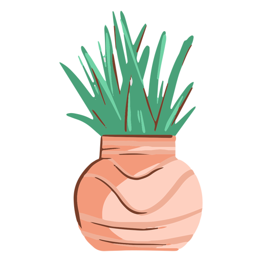 Terracotta pot with green spiky succulent plant, hand-drawn illustration on white background.