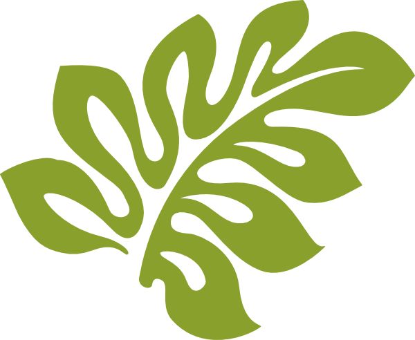 Stylized green monstera leaf silhouette logo on white background