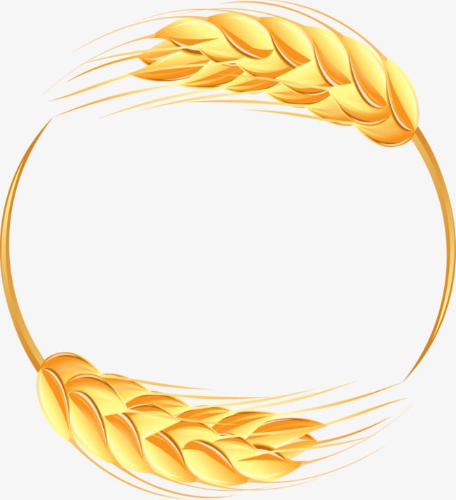 Golden wheat stalks forming a circular frame on white background