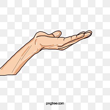 Illustrated open hand gesture, palm up, offering or presenting, on transparent background.