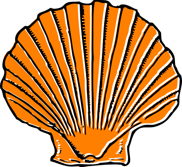 Scallop Shell Illustration - Free Clipart for Marine Themes
