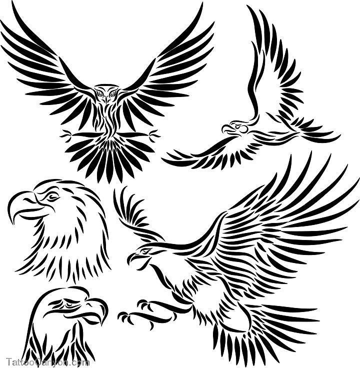 Black-and-white tribal-style eagle illustrations in various poses: soaring, head profiles, and landing.