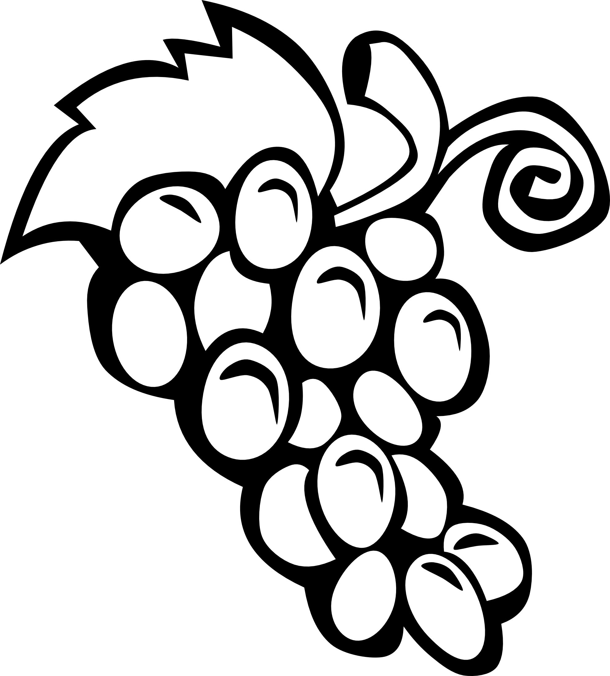 Stylized black-and-white illustration of a grape cluster with leaves and vine swirls.