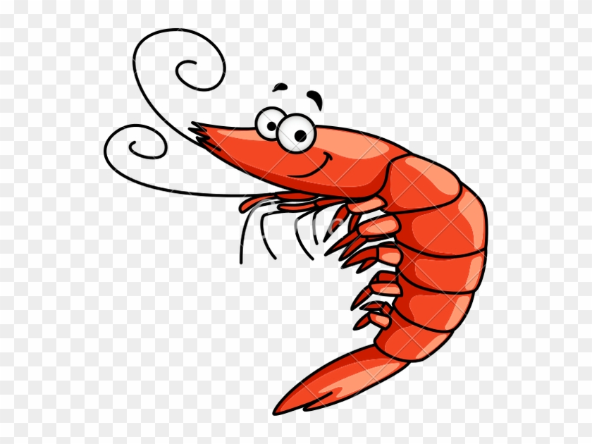Cheerful cartoon red shrimp with big eyes, smiling face, and curly antennae on transparent background.
