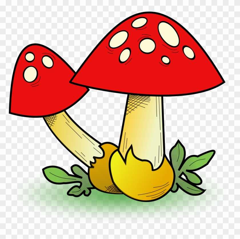 Red Spotted Mushrooms Clipart - Free Download for Creative Projects