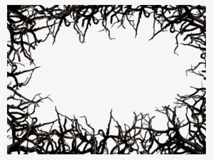 Branch clipart, Tree Branch Silhouette Clip art, Tree Branches, Tree ...